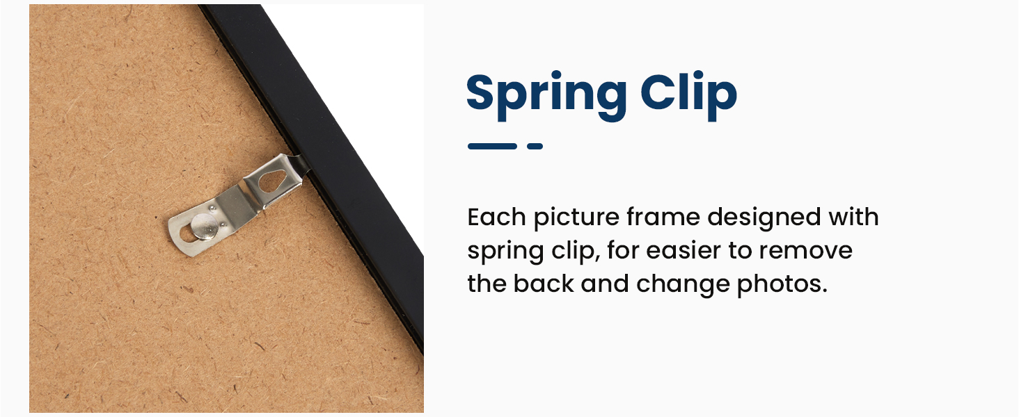 Spring Clip