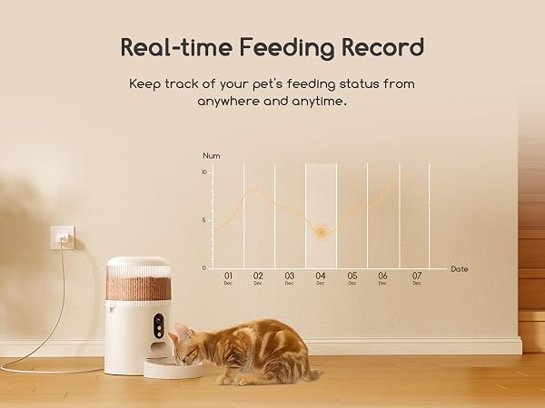 real-time feeding record