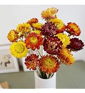 Dried Flowers Bouquet Natural Daisy - 40 PCS Multicolor Daisies Dried Sunflowers, Dry Flower Arra...