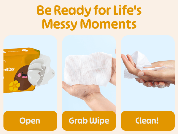 Sanitizer Wipes