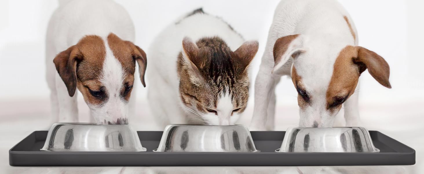 dog supplies food mat deals cat for dogs silicone and water bowl accessories pet stuff boot tray