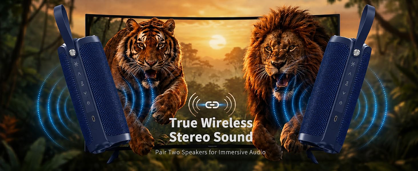 portable speaker