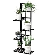Laiensia 5 Tier Bamboo Plant Stand Rack 6 Potted Multiple Flower Pot Holder Shelf, Indoor&Outdoor...