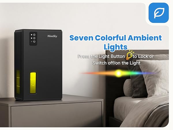 bathroom dehumidifier