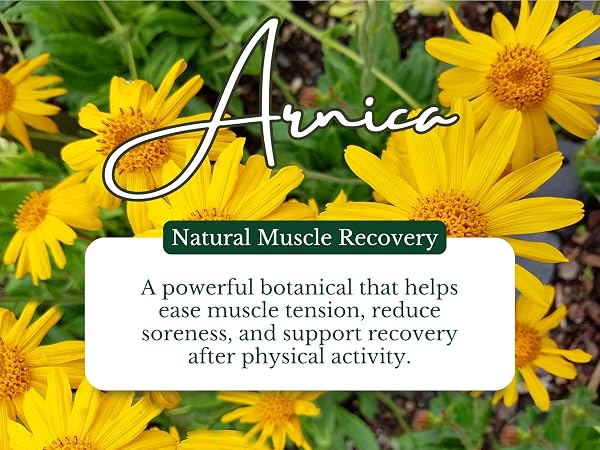 Sore Muscle Massage oil bgt