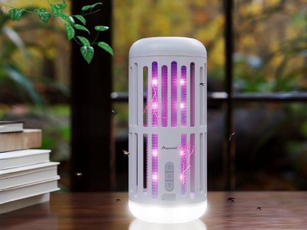 https://m.media-amazon.com/images/S/aplus-media-library-service-media/09ad9526-b6e8-4f84-8efe-4bd8963e1f39.__CR332,0,800,600_PT0_SX600_V1___.png
