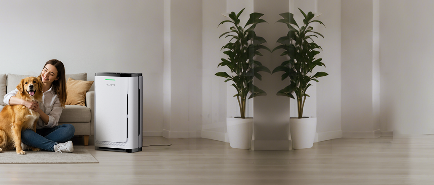 air purifier for cat litter smell