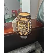2 Pack Owl Plug in Night Light, 2700K Warm White, E12 LED, On/Off Switch | Decorative owl cutout ...