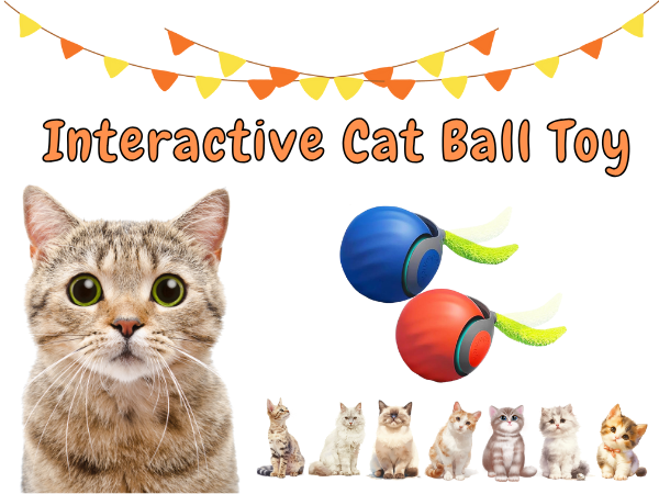 interactive cat toys for indoor cats