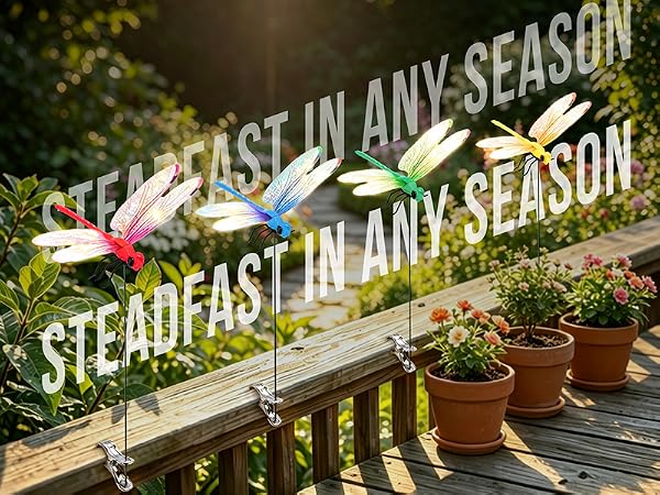 dragon flies to keep bugs away