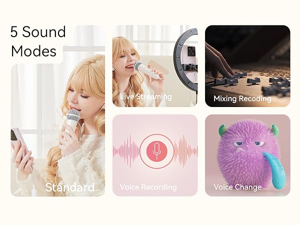 karaoke stereo microphone
