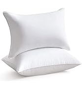 Raajsee Throw Pillows Insert (White, Pack of 2) 12X20 Inches Cotton Fabric Stuffer Rectangle Form...
