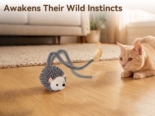 cat toys indoor interactive kitten toys automatic
