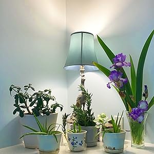 E26 grow light bulbs