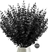 50 Pcs Black Artificial Eucalyptus Stems,Faux Eucalyptus Leaves Branches | Fake Eucalyptus Stems ...