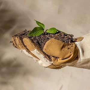Sustainable