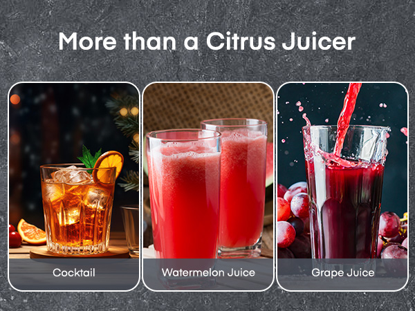 manual juicer