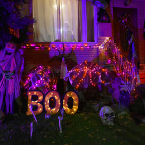 orange purple mini lights