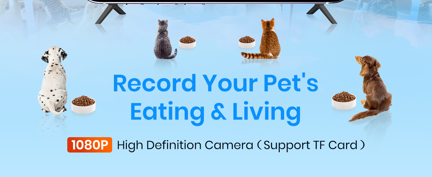 automatic cat feeder with camera