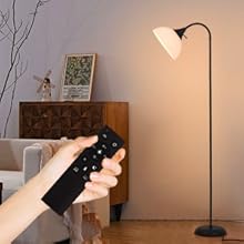 Adjustable Gooseneck Floor Lamp