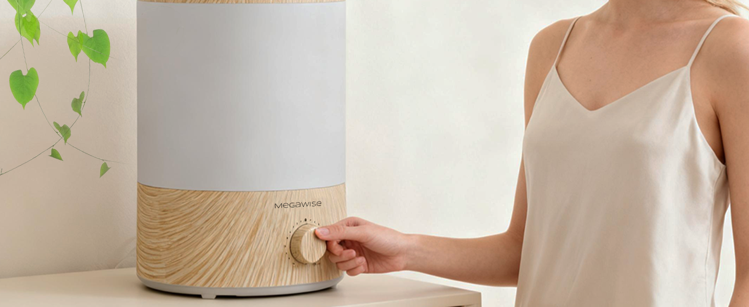 humidifier