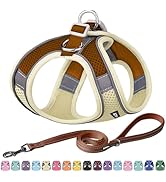 AIITLE Dog Harness Small Sized Dog - No Pull Dog Harness for XS and Small Size Dogs & Puppies - S...