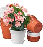 homenote Plant Pots,6 Inch Flower Pots for Plants Plastic Planters for Indoor with Multiple Drain...