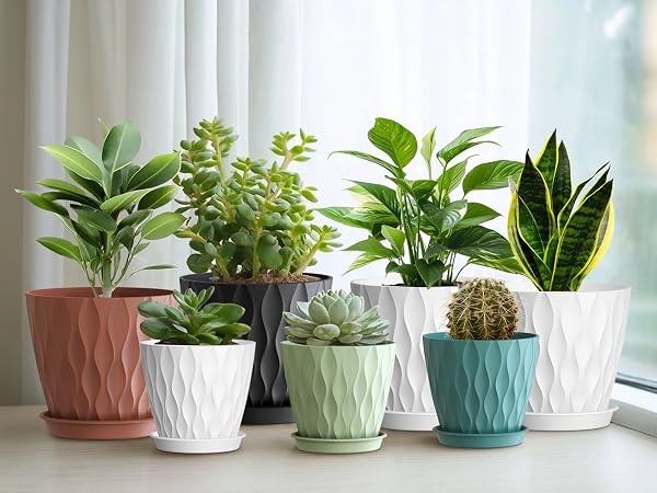 4 in seedling pots for indoor plants