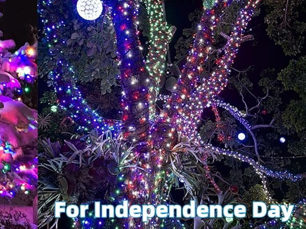 66ft Christmas Decorative Mini Lights