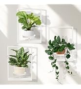 storenization Hanging Planters for Indoor Plants Floating Shelves for Wall White, Wall Plant Hold...