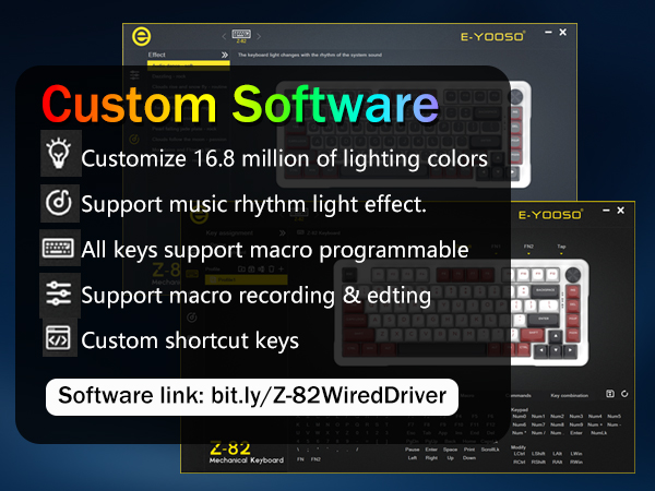 software