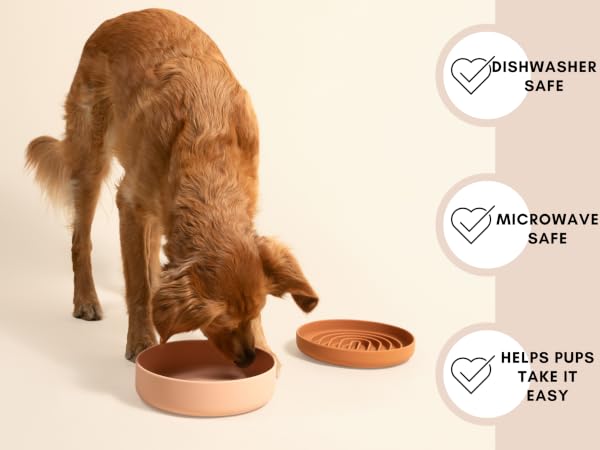raised stands eating tall feeders lifted adjustable tilted standing hound perro bebederos placemat