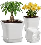 6 Pack 6/8/10 Inch Square Plant Pots with Saucers - 24-Strip Airflow Drainage for Root Health - H...