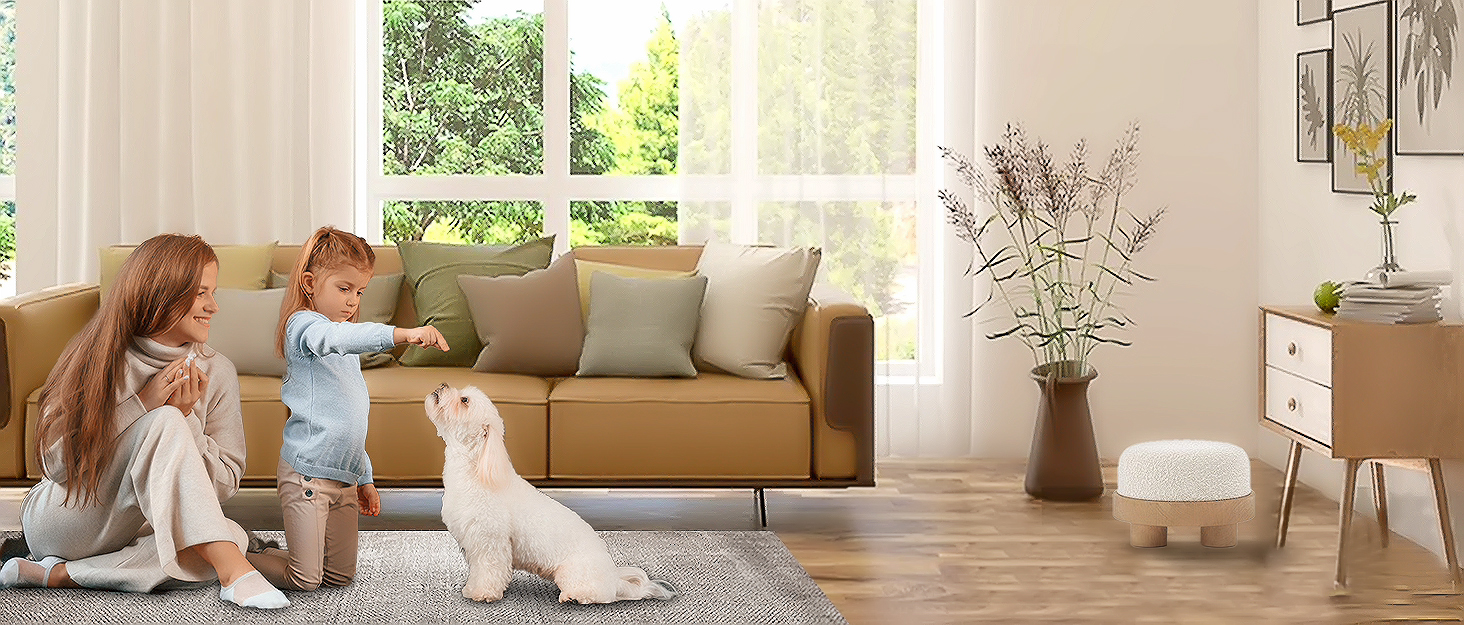large lint roller for pet hair