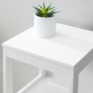 a white table with a plant on it