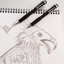sketch