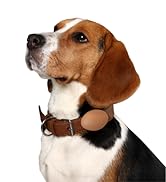 airtag holder