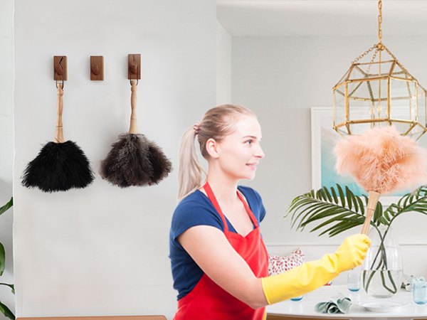 dusters for home cleaning