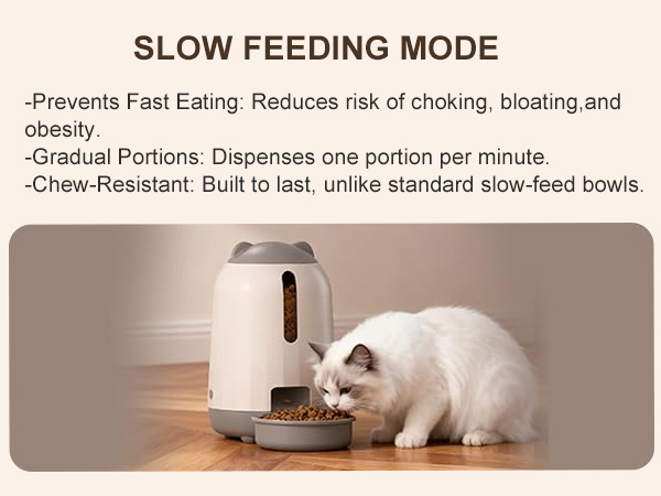automatic cat feeder wifi small pet feeder automatic pet feeder cat automatic feeder