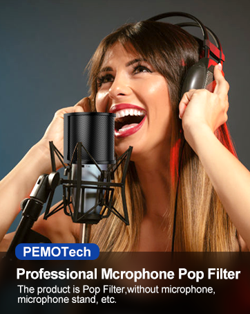 pop filter for mic