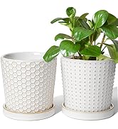 LE TAUCI Ceramic Plant Pots, 5.4 inch Indoor Planters with Drainage Hole and Saucer, Embossed Flo...