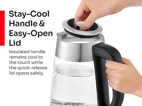 Electric Kettle