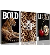 Frimeeme Framed Trendy Leopard Canvas Wall Art Set of 3, Leopard Wall Decor Pictures Lucky 8 Ball...