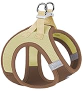 Step-in Small Dog Harness