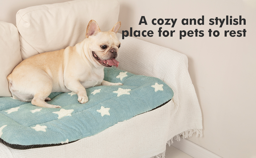 dog crate pad dog bed
