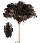 Ostrich Feather Duster 16 inch Ostrich Feather Duster Fluffy Natural Genuine Ostrich Feathers wit...
