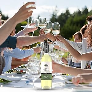Outdoor dining scene with multiple glasses of white wine being raised in a toast, bottle visible on table in natural daylight setting.