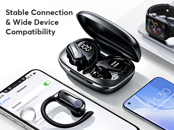 earphones