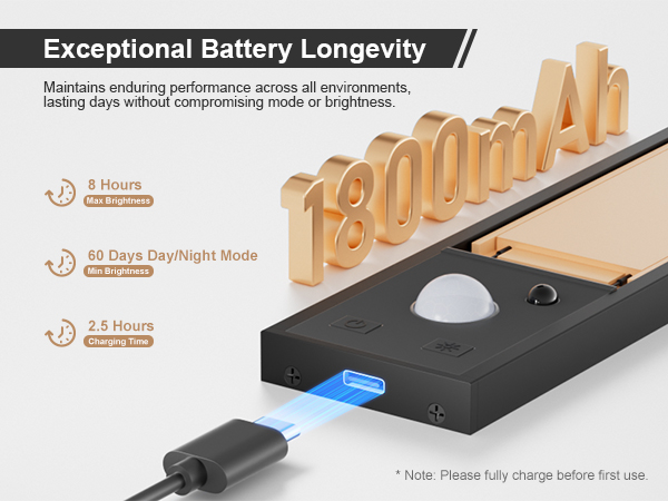 rechargeable battery