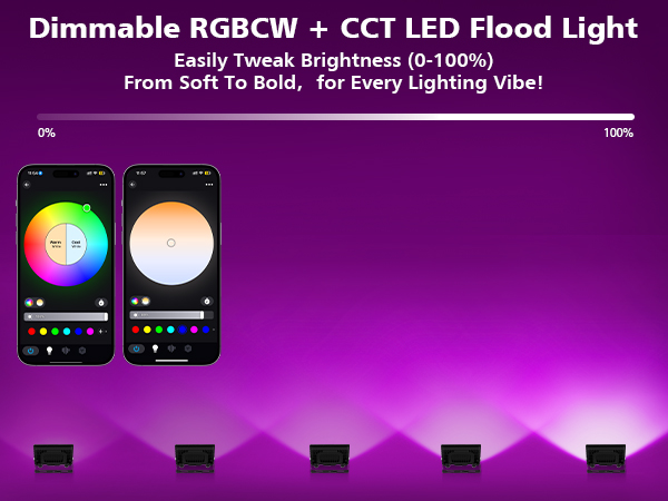 LED Flood Lights
